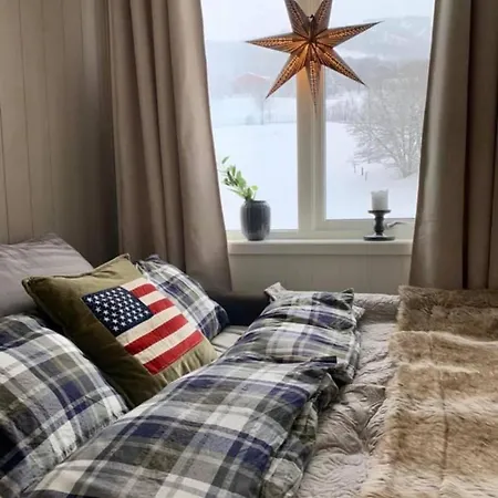 Moderne Pa Solsiden I Geilo Sentrum Hol (Buskerud)